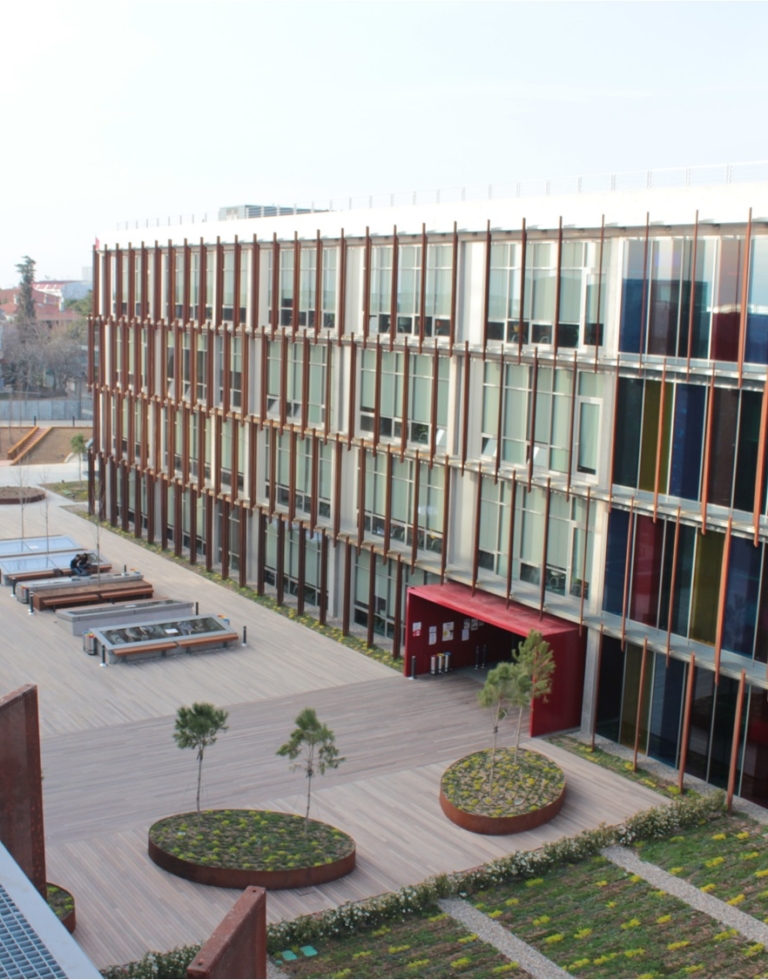 Ipe_Wood-hardwood-decking-invisible-fixation-Softline-Vetedy_Klassis_Piri Reis University10