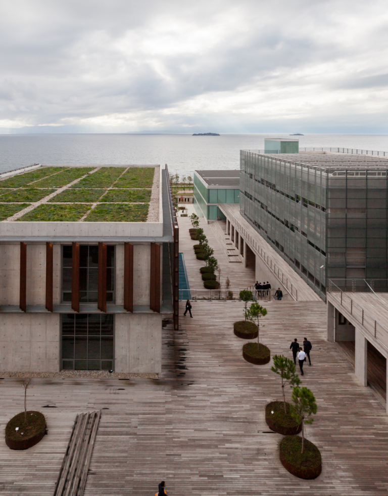 Ipe_Wood-hardwood-decking-invisible-fixation-Softline-Vetedy_Klassis_Piri Reis University12